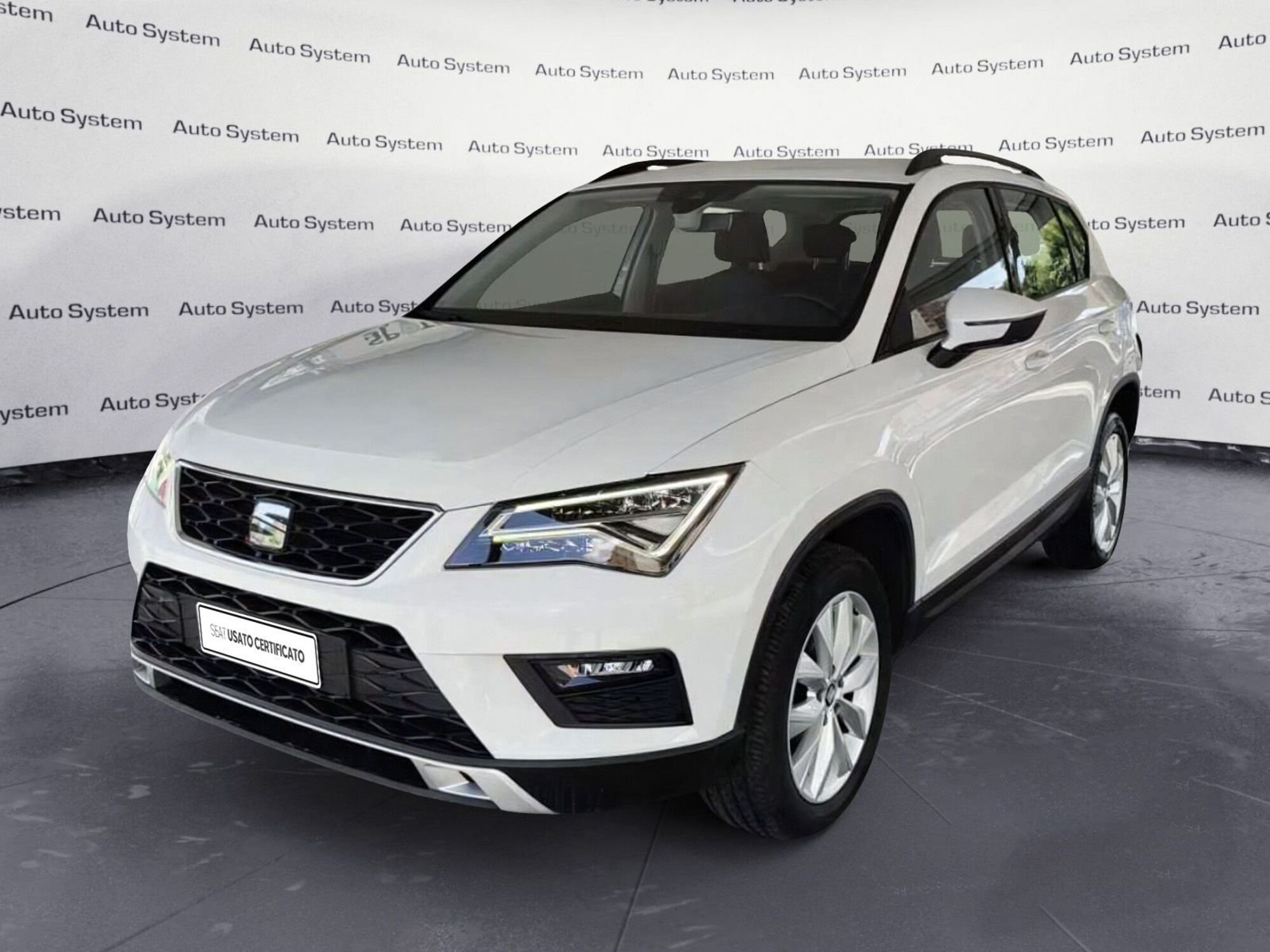 SEAT Ateca 1.6 TDI Business  del 2019 usata a Palermo