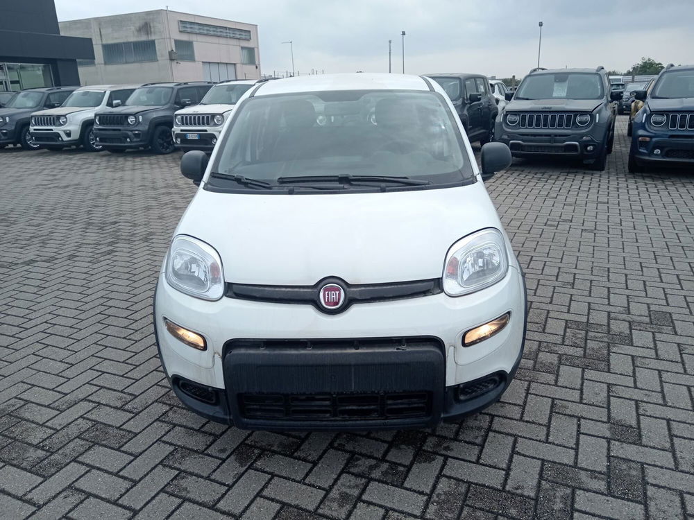 Fiat Panda Cross nuova a Alessandria (2)