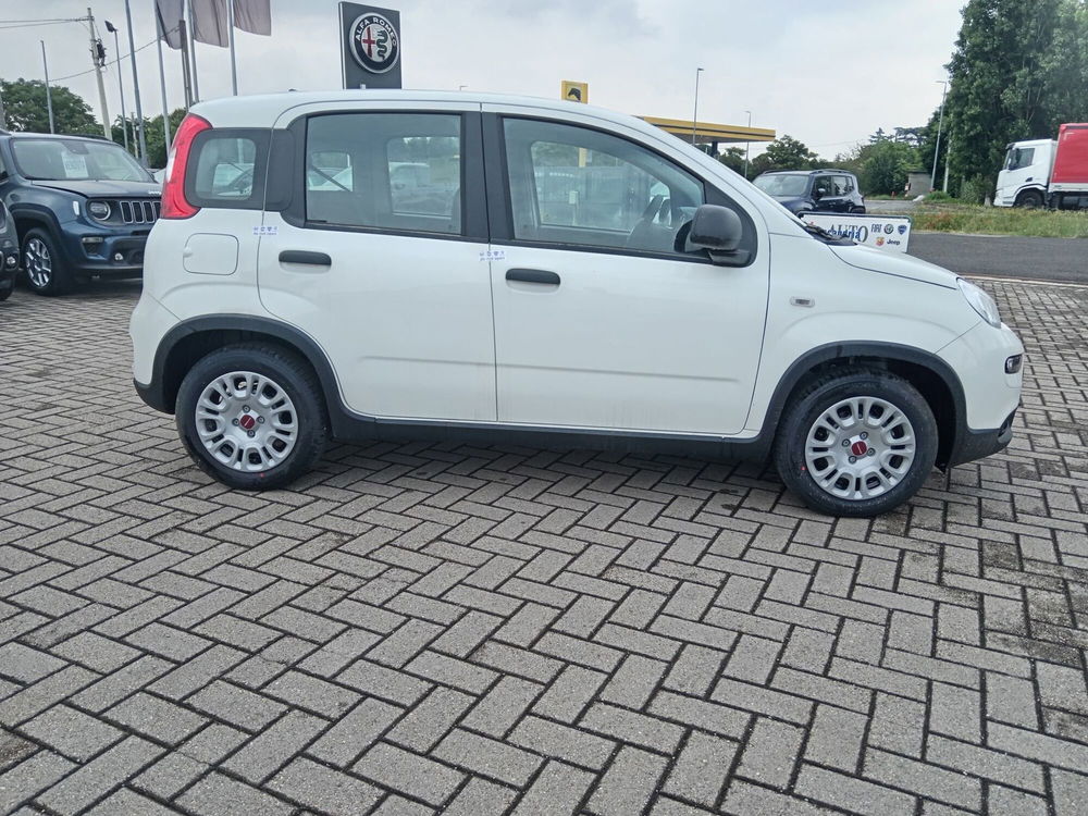 Fiat Panda Cross nuova a Alessandria (4)