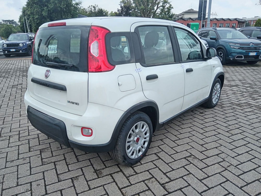 Fiat Panda Cross nuova a Alessandria (5)