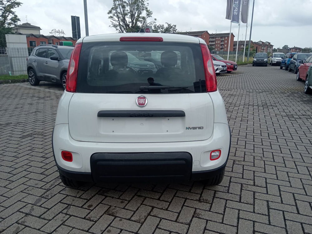 Fiat Panda Cross nuova a Alessandria (6)