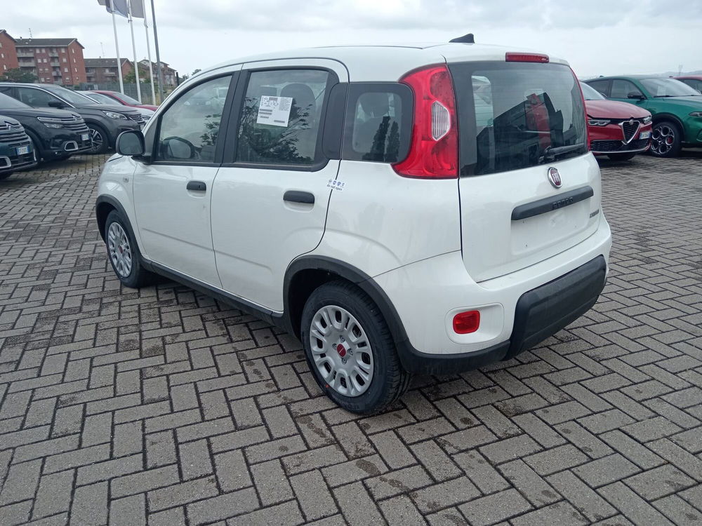 Fiat Panda Cross nuova a Alessandria (7)