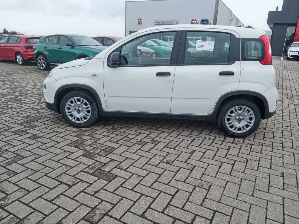 Fiat Panda Cross nuova a Alessandria (8)