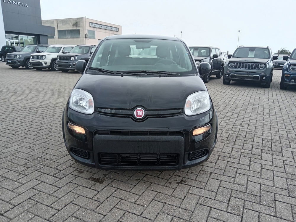 Fiat Panda nuova a Alessandria (2)