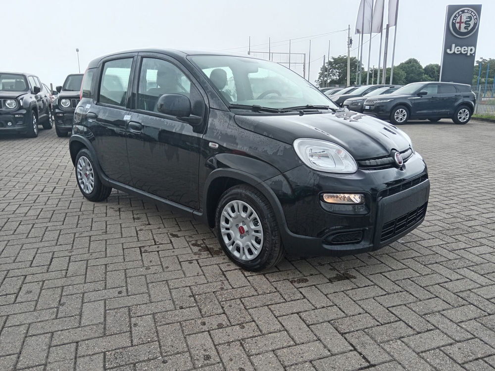 Fiat Panda Cross nuova a Alessandria (3)