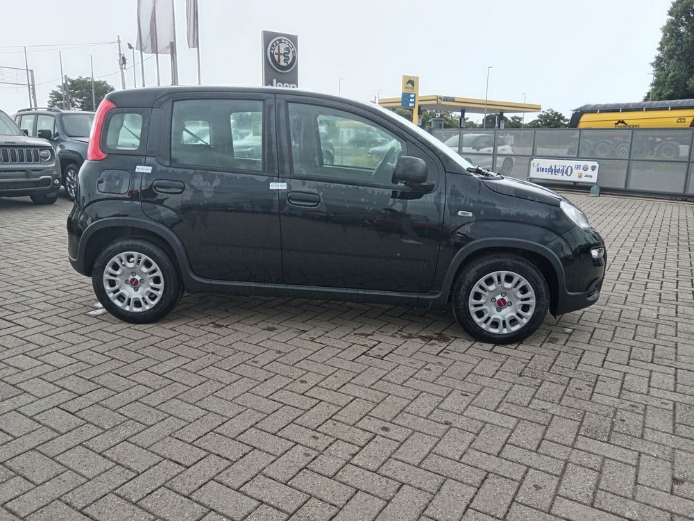 Fiat Panda Cross nuova a Alessandria (4)