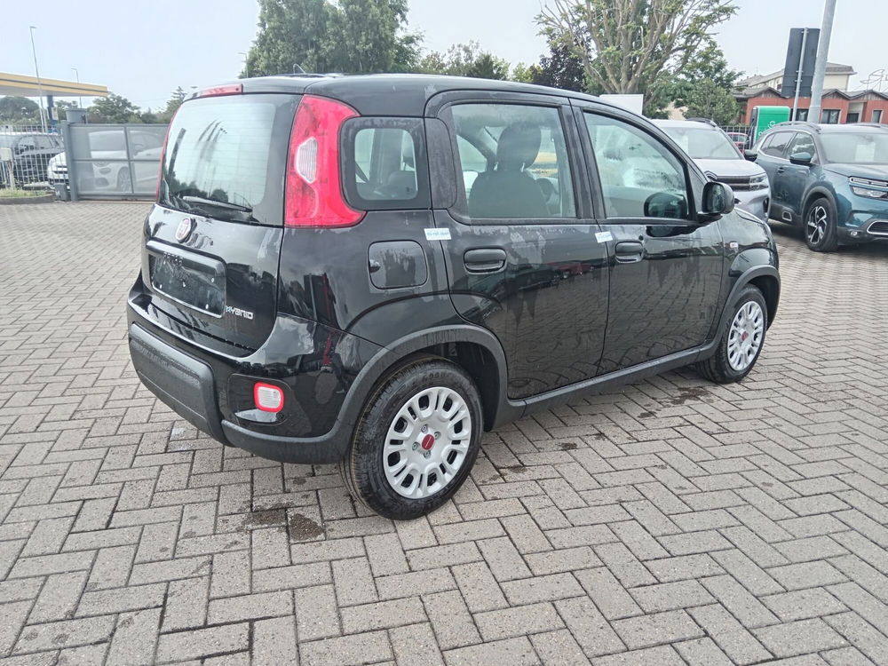 Fiat Panda Cross nuova a Alessandria (5)