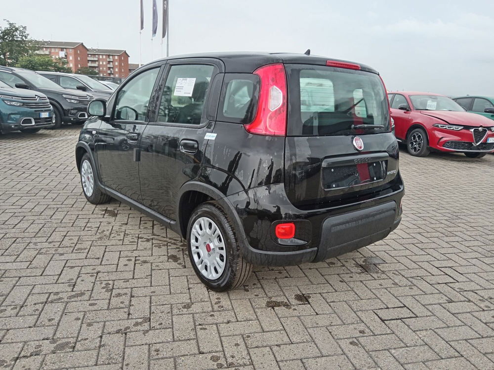 Fiat Panda Cross nuova a Alessandria (8)