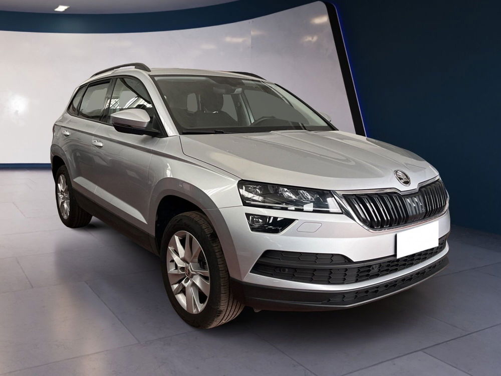 Skoda Karoq usata a Torino (3)