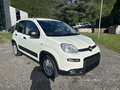 Fiat Panda 1.2 Easy Van 4 posti  nuova a La Spezia