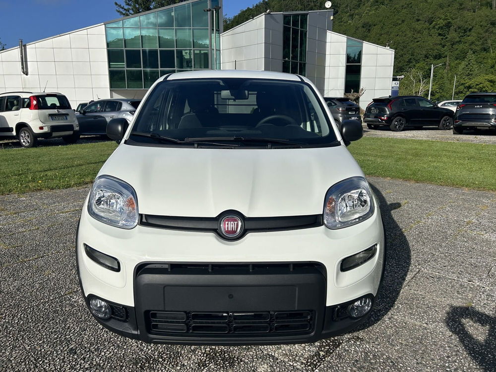 Fiat Panda nuova a La Spezia (2)