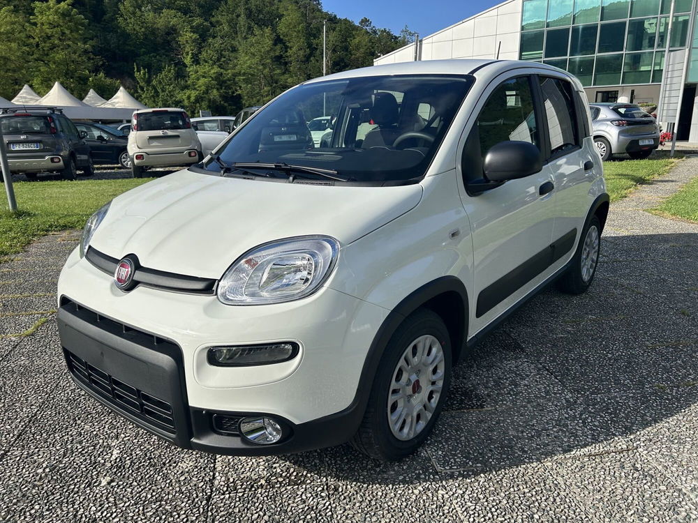 Fiat Panda nuova a La Spezia (3)