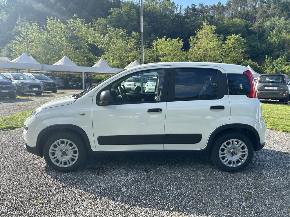 Fiat Panda nuova a La Spezia (4)