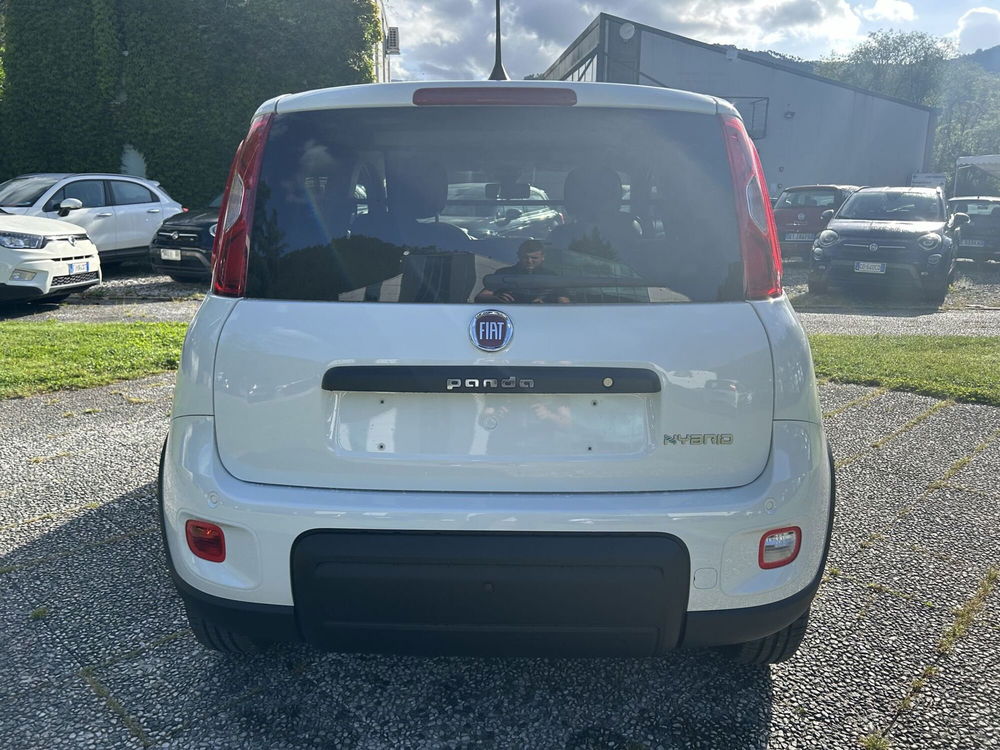 Fiat Panda nuova a La Spezia (6)