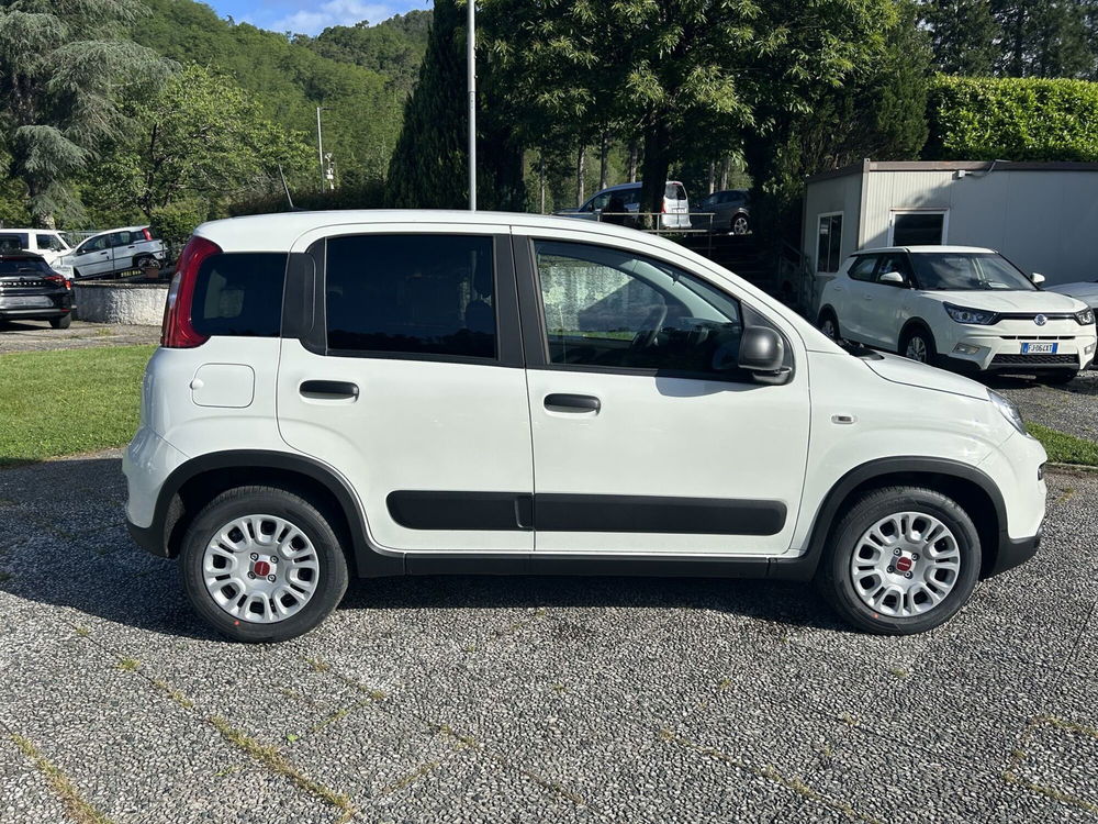 Fiat Panda nuova a La Spezia (8)