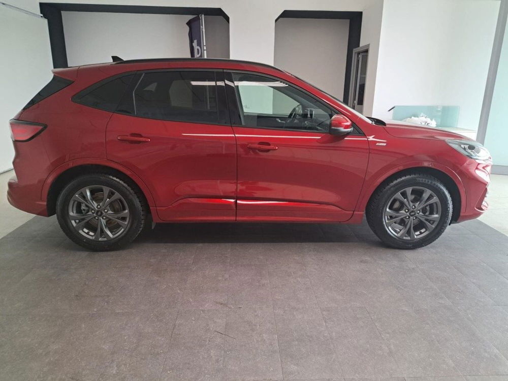 Ford Kuga usata a Arezzo (7)