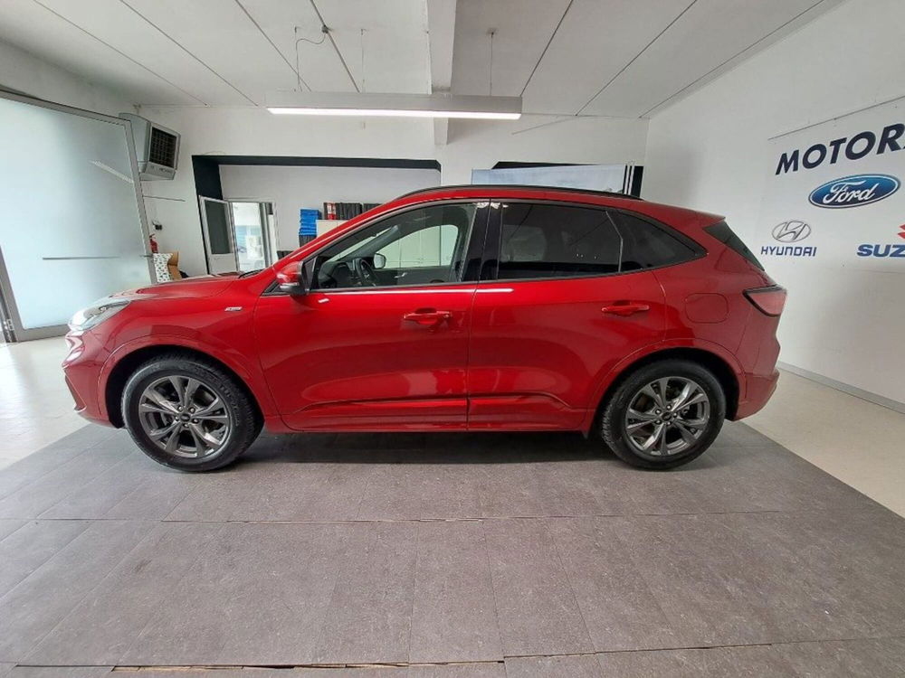 Ford Kuga usata a Arezzo (8)