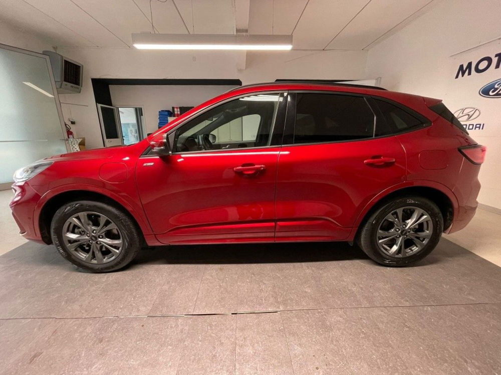 Ford Kuga usata a Arezzo (8)