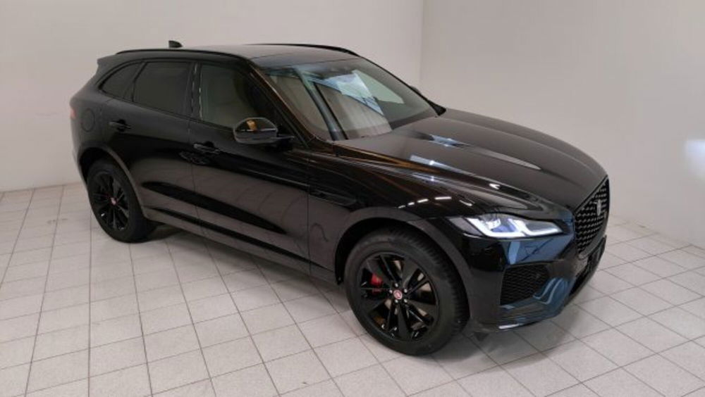 Jaguar F-Pace usata a Novara (19)