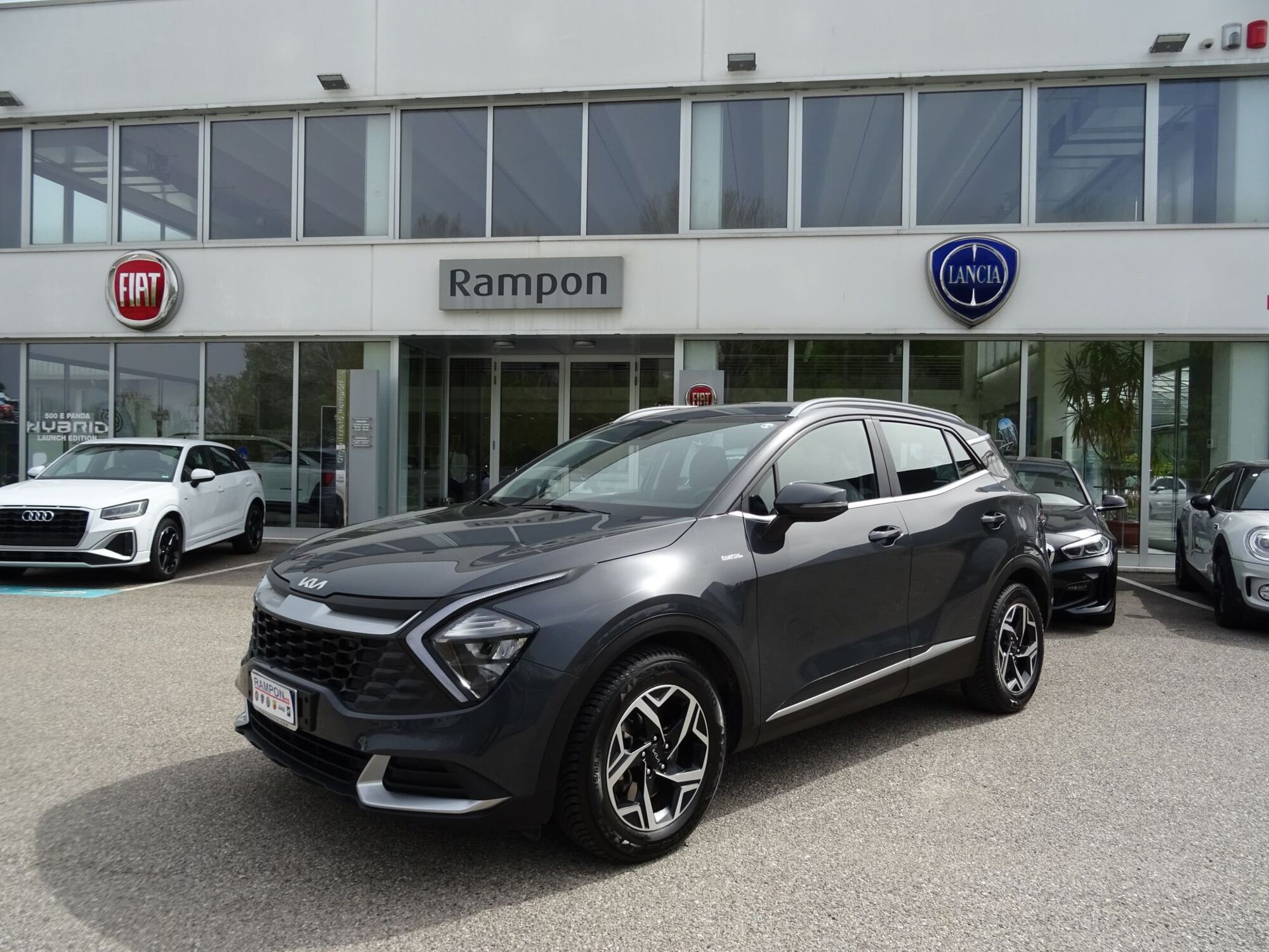 Kia Sportage 1.6 GDI 2WD Business Class  del 2022 usata a San Dona&#039; Di Piave