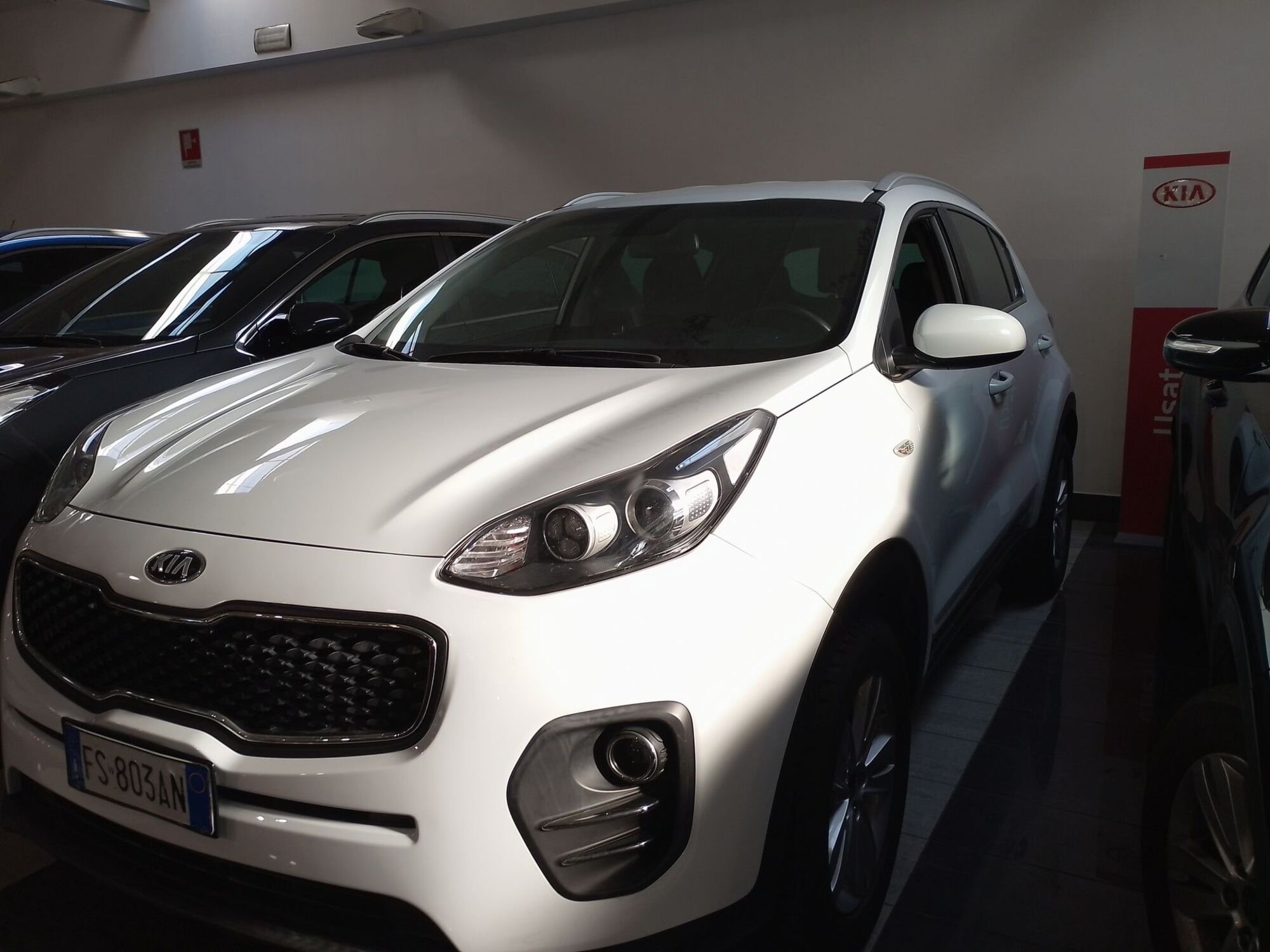 Kia Sportage 1.6 GDI 2WD Business Class  del 2019 usata a Firenze