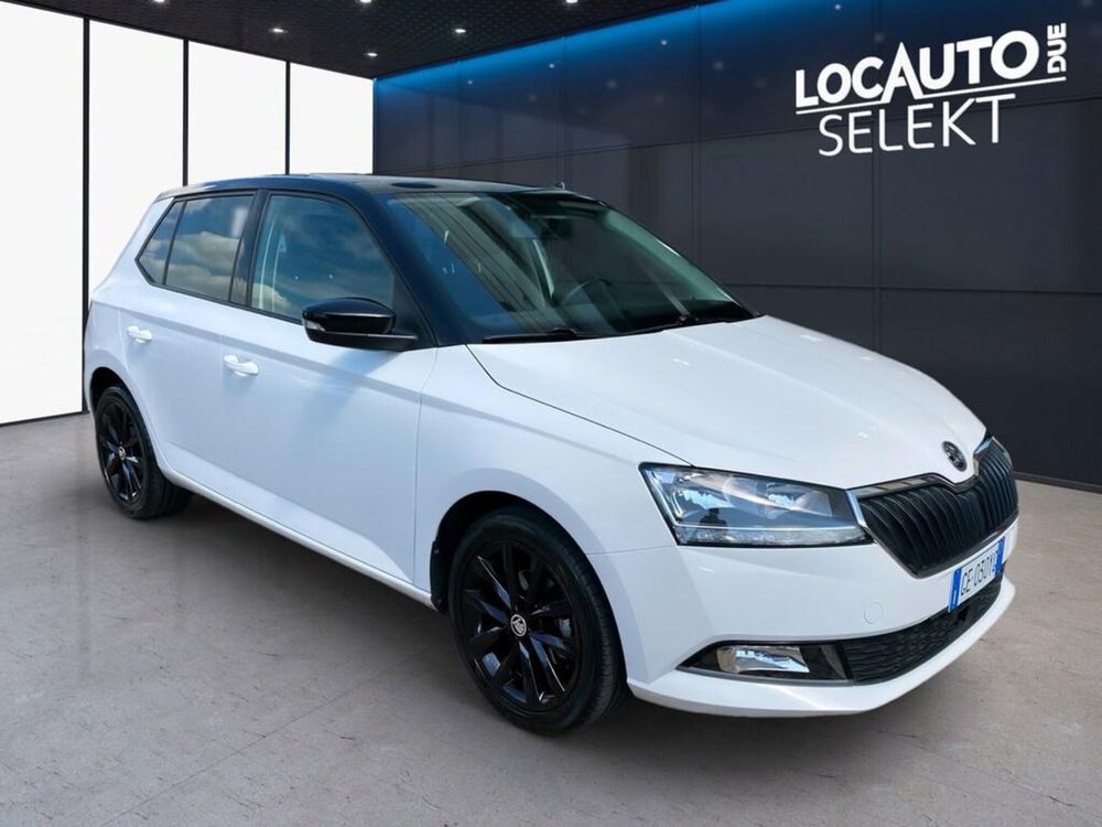 Skoda Fabia usata a Torino (3)