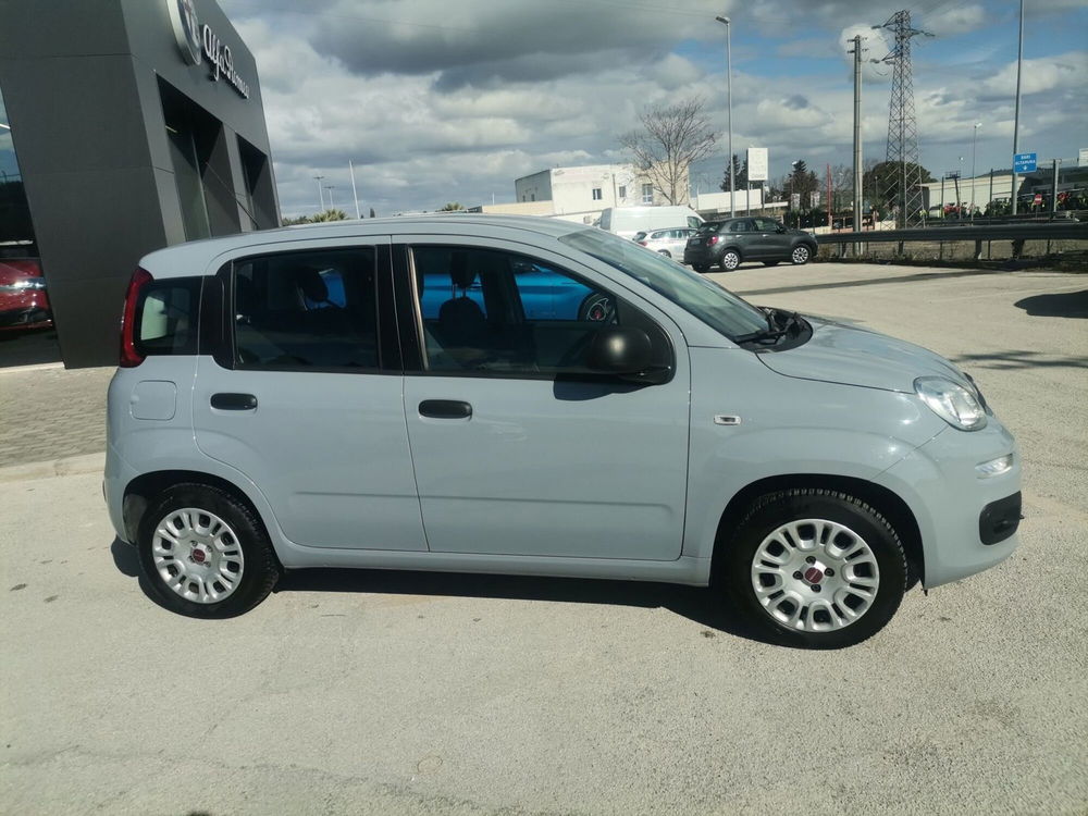 Fiat Panda usata a Matera (4)