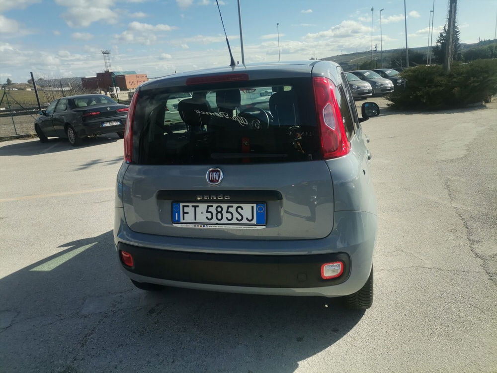 Fiat Panda usata a Matera (6)