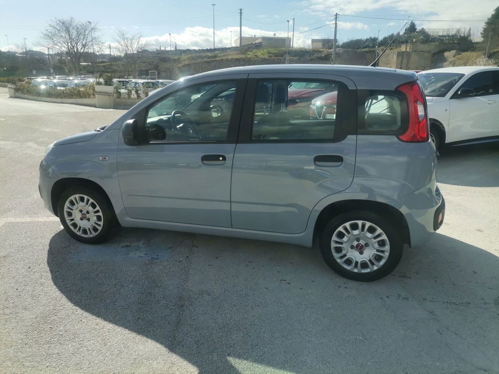 Fiat Panda usata a Matera (8)