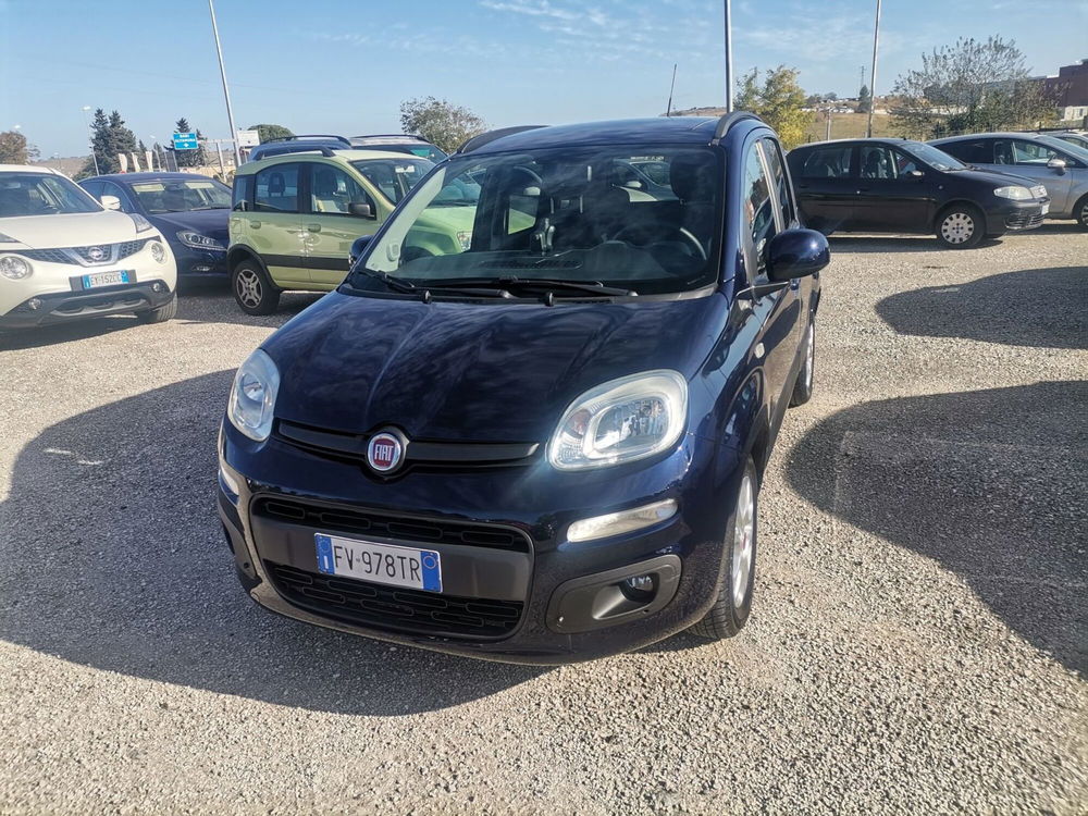 Fiat Panda usata a Matera (2)