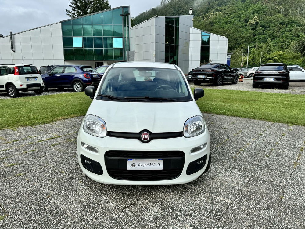 Fiat Panda usata a La Spezia (2)