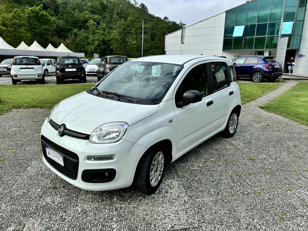 Fiat Panda usata a La Spezia (3)