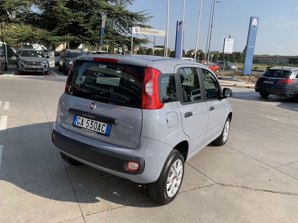 Fiat Panda usata a Parma (3)