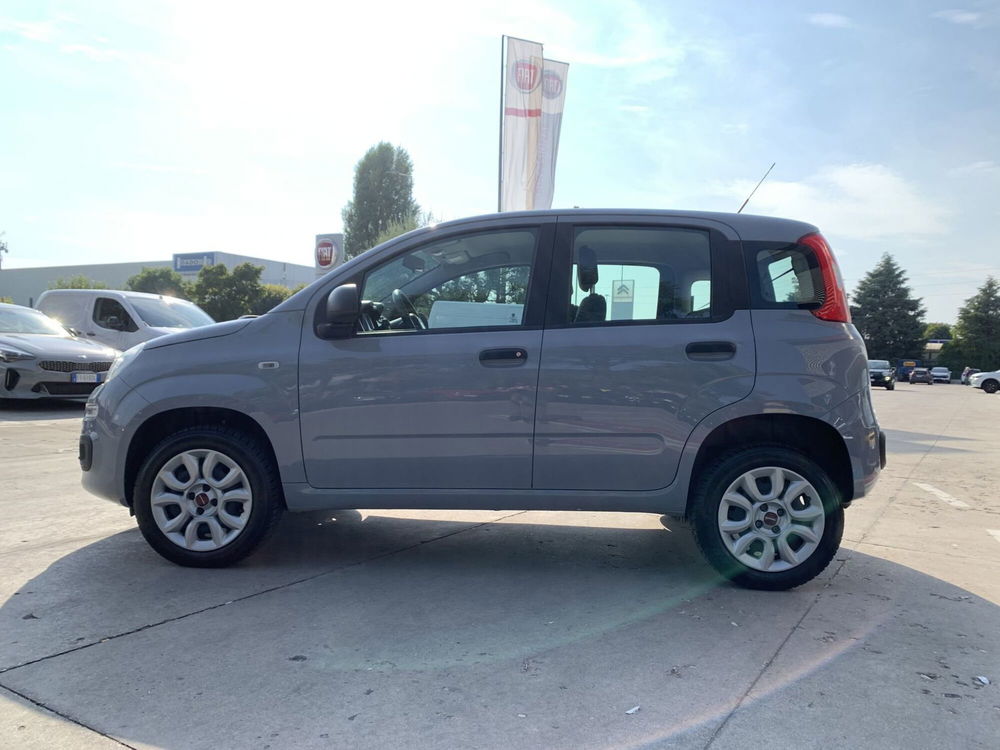 Fiat Panda usata a Parma (6)