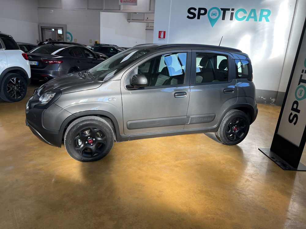 Fiat Panda Cross usata a Parma (2)