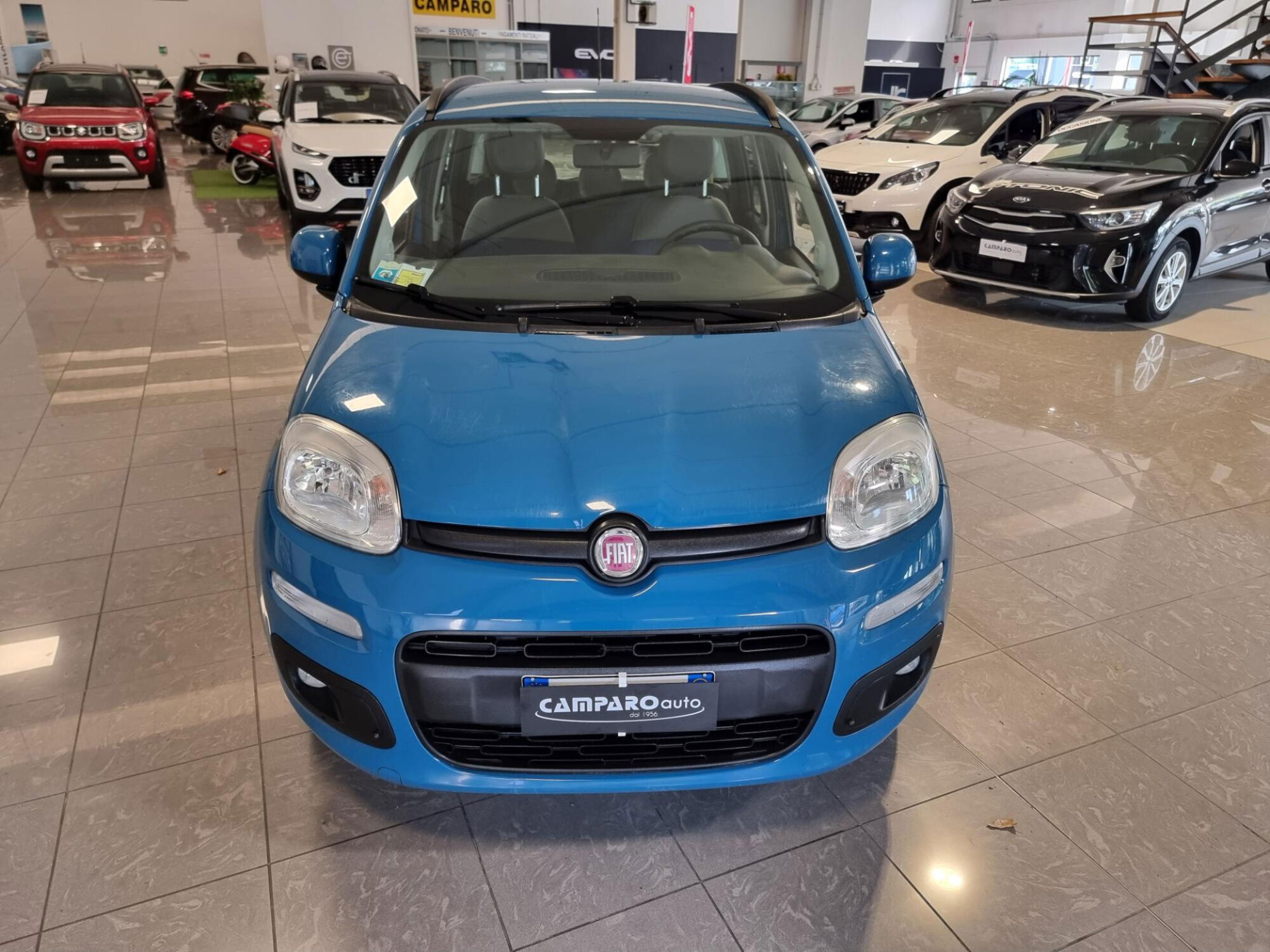 Fiat Panda 1.2 Lounge  del 2012 usata a Acqui Terme