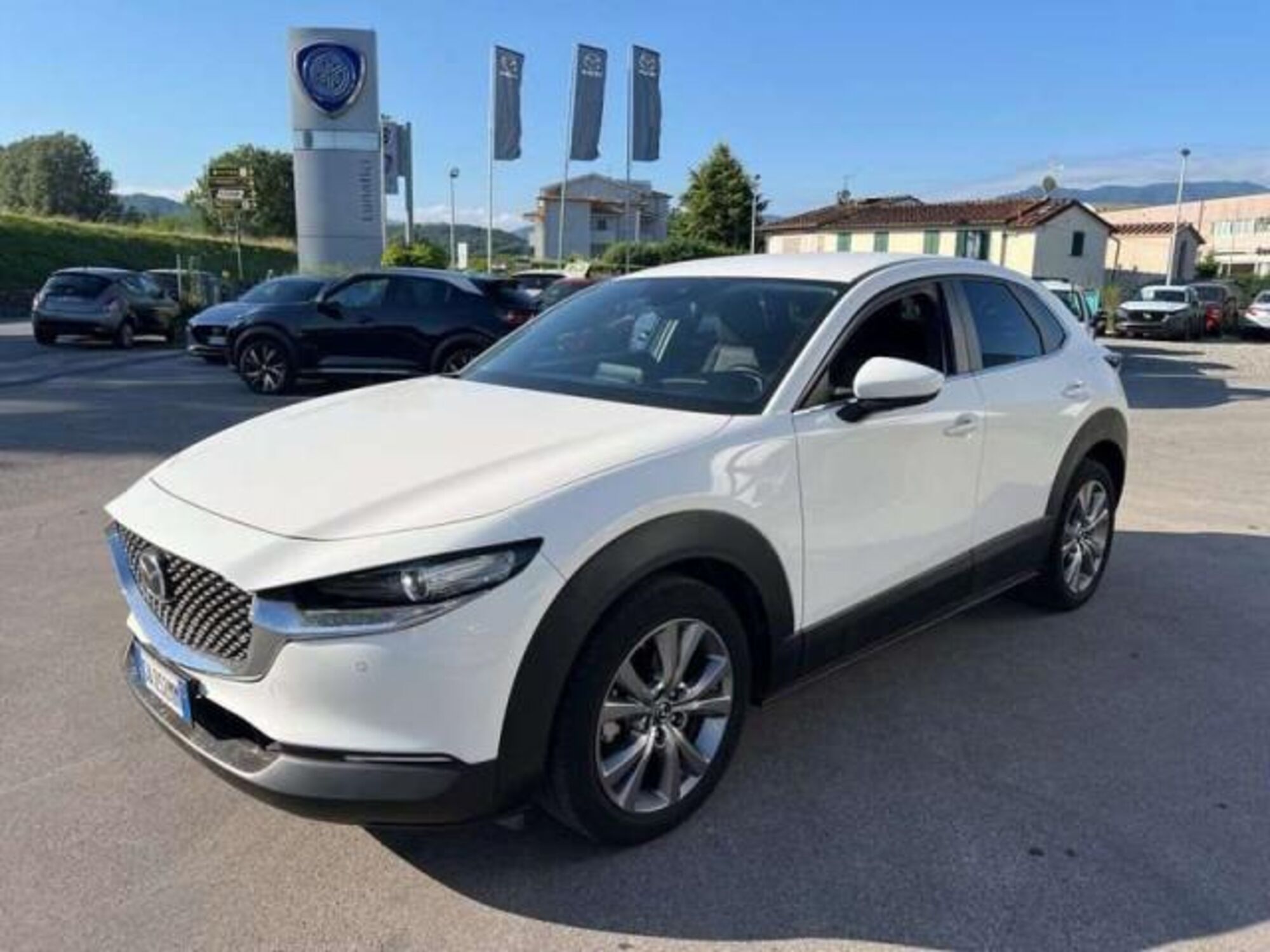 Mazda CX-30 Skyactiv-G M Hybrid 2WD Executive  del 2020 usata a Barga