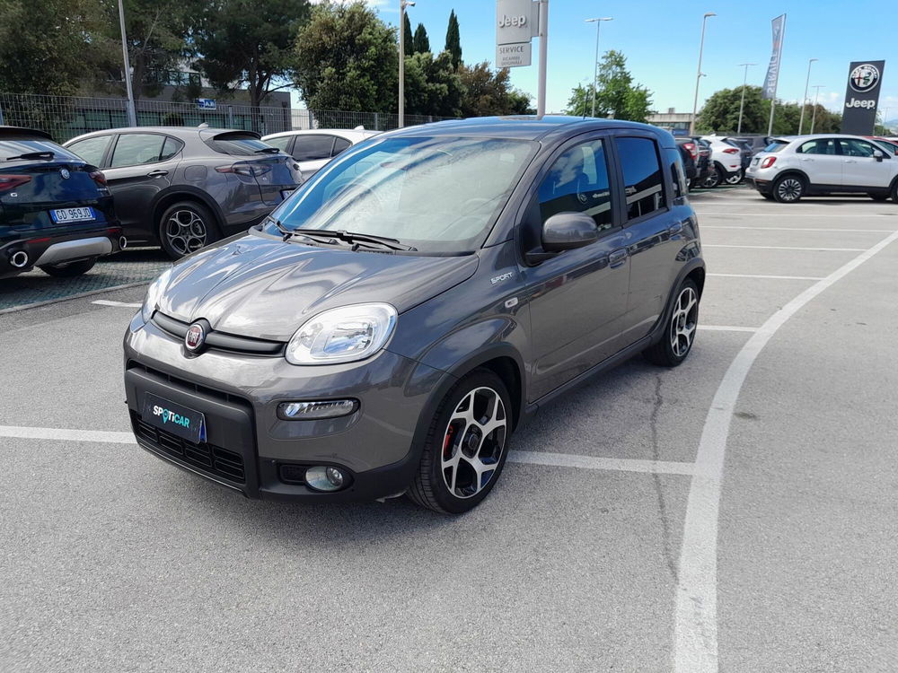 Fiat Panda Cross usata a Ancona