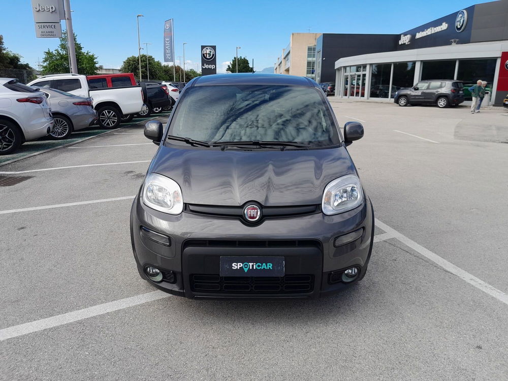 Fiat Panda usata a Ancona (2)