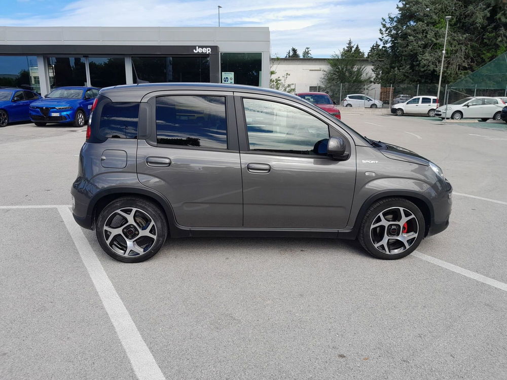 Fiat Panda Cross usata a Ancona (4)