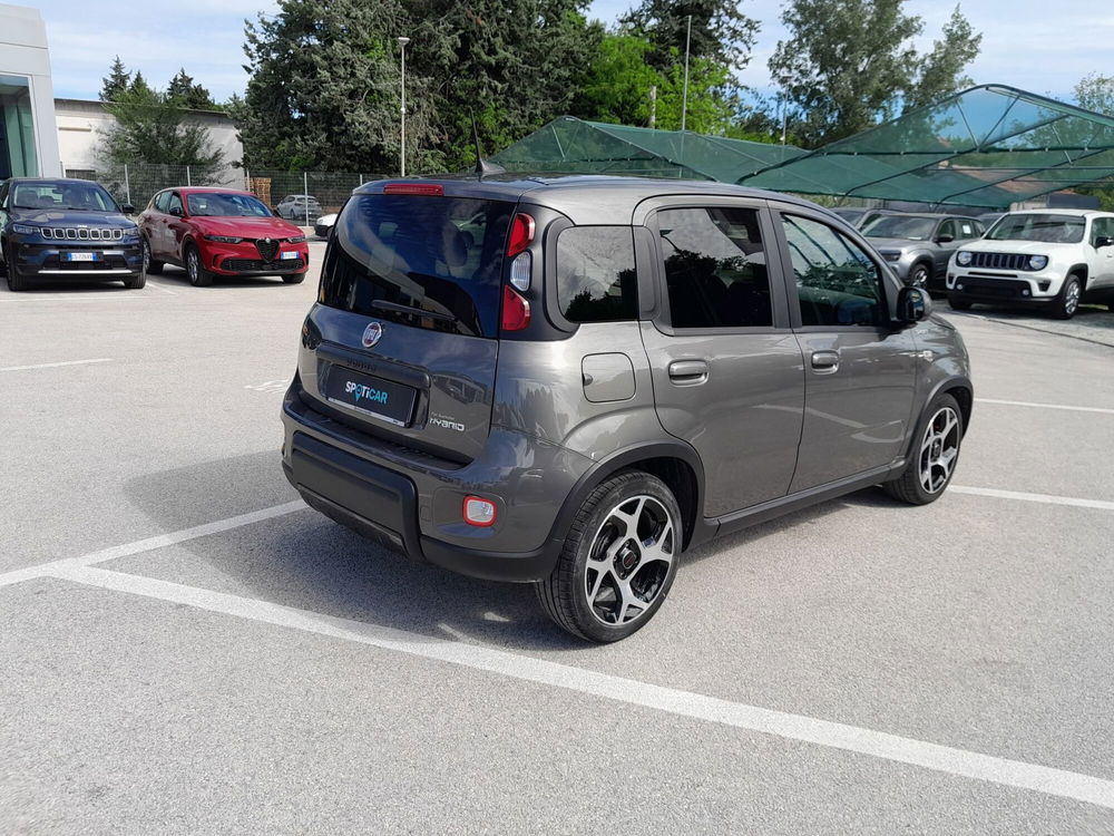 Fiat Panda usata a Ancona (5)