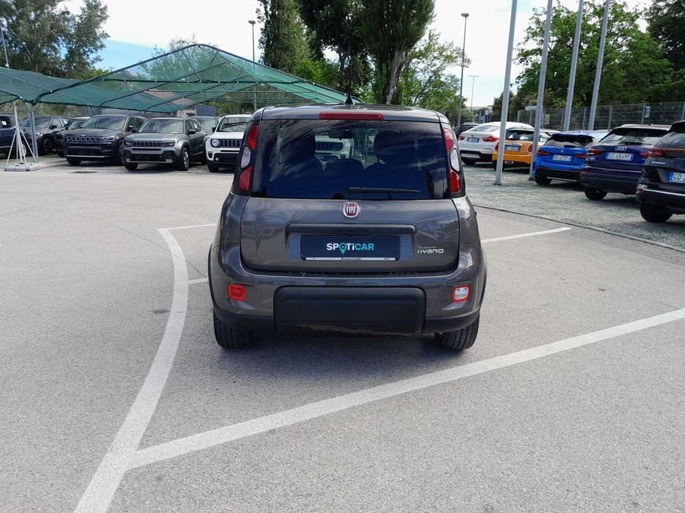 Fiat Panda usata a Ancona (6)