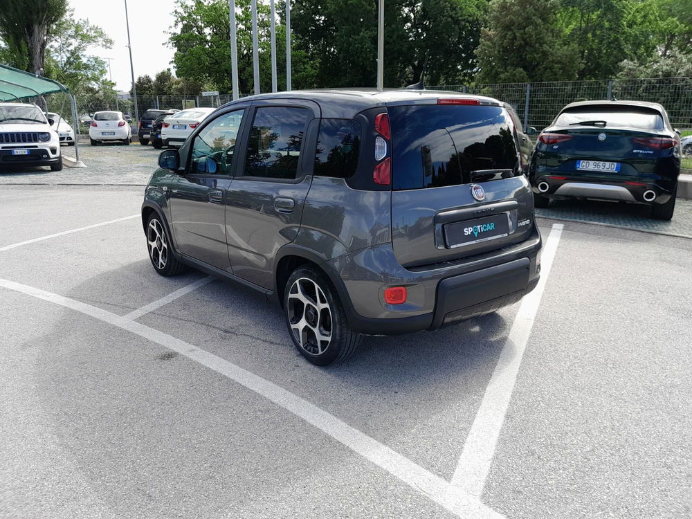 Fiat Panda Cross usata a Ancona (7)