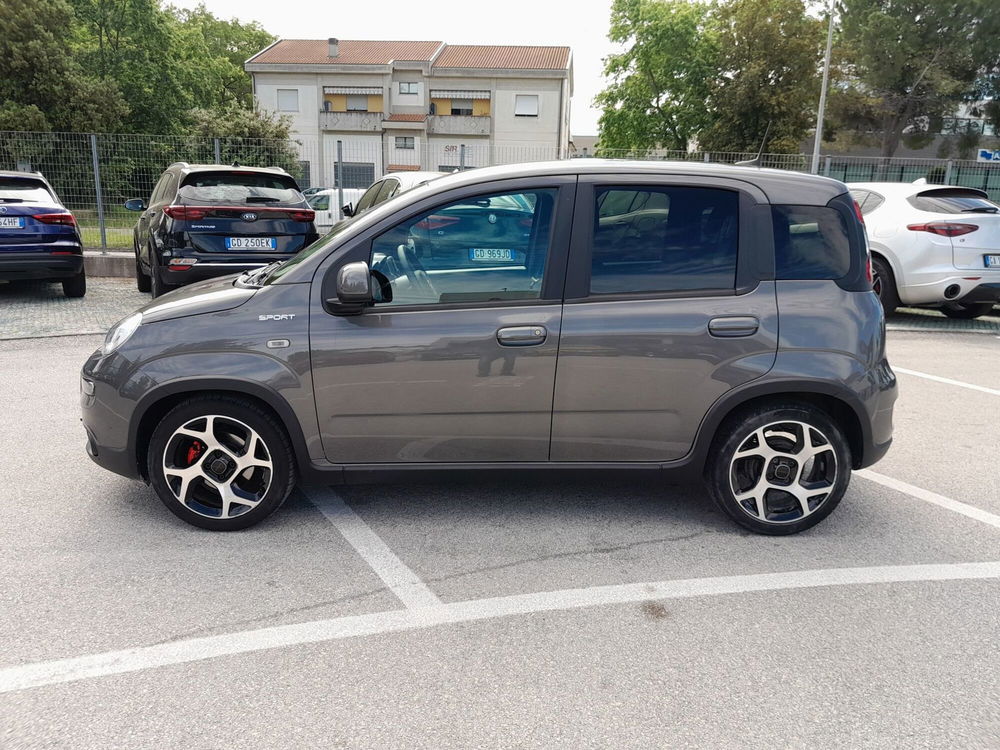 Fiat Panda usata a Ancona (8)