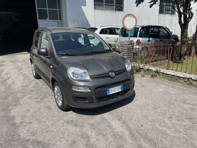 Fiat Panda Cross Cross 1.0 FireFly S&amp;S Hybrid  del 2022 usata a Lucca