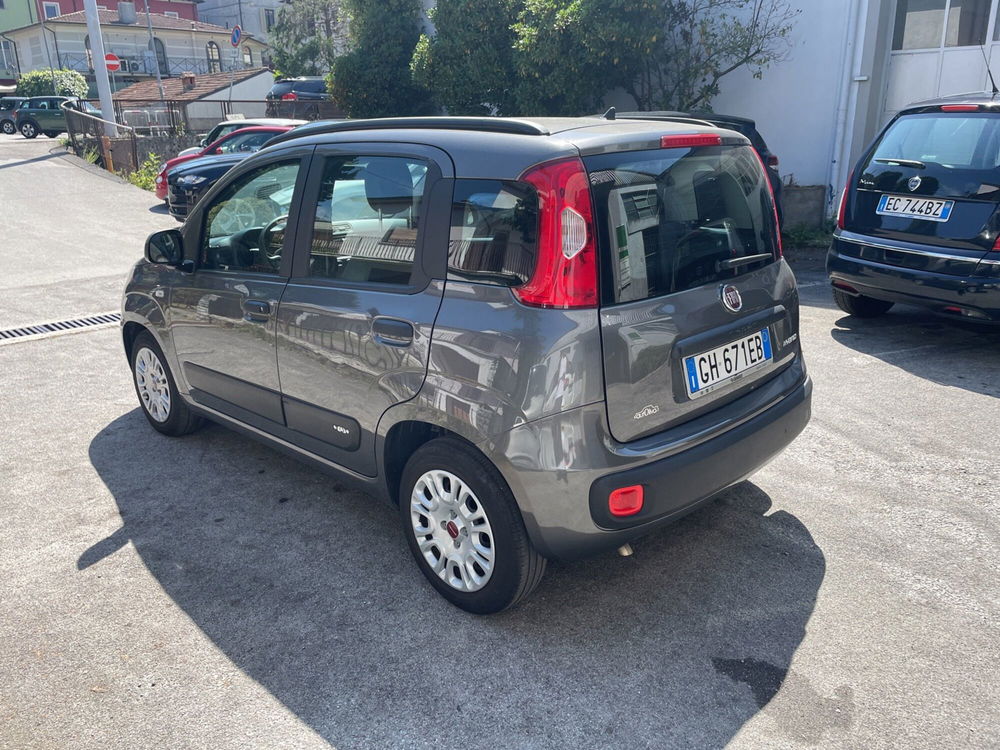 Fiat Panda Cross usata a Lucca (2)