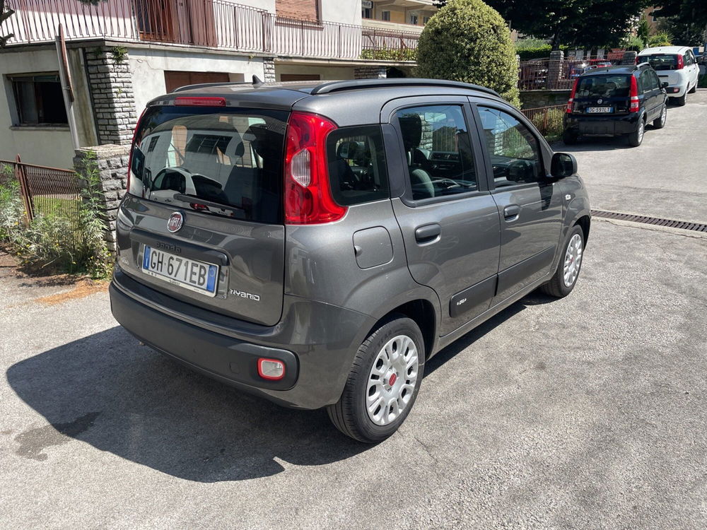 Fiat Panda Cross usata a Lucca (3)