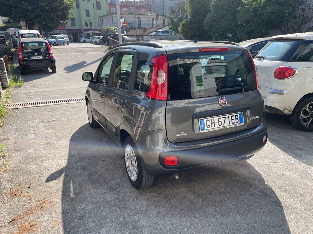 Fiat Panda Cross usata a Lucca (10)