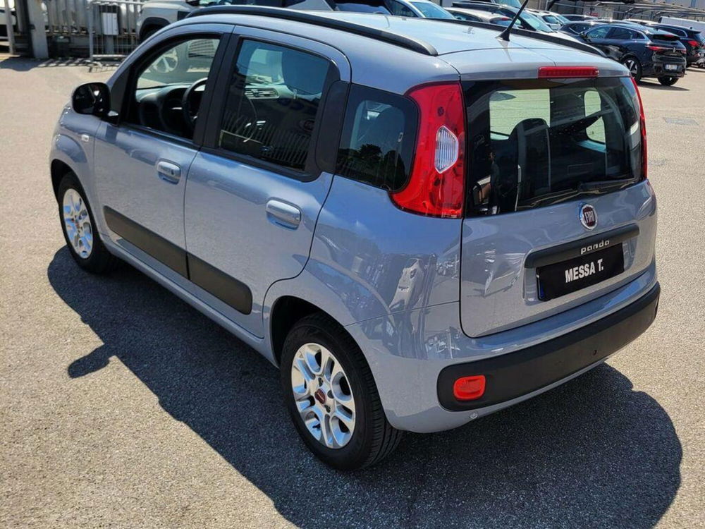 Fiat Panda usata a Monza e Brianza (4)