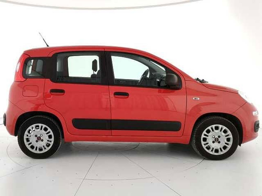 Fiat Panda usata a Roma (3)